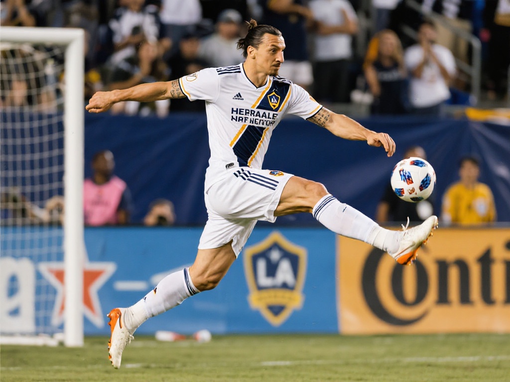 的稳定输出 的稳定输出